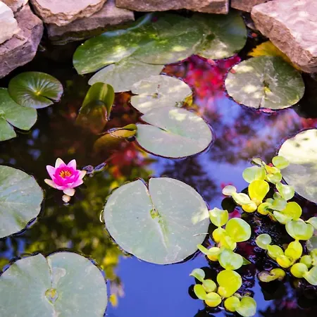 Feriehus La Casetta *