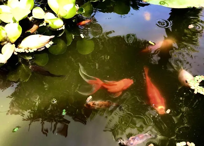 Feriehus La Casetta Brancaleone Marina