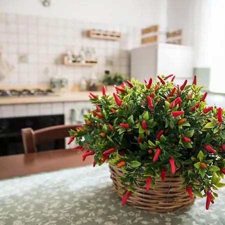 펜션 La Casetta 브란칼레오네 마리나