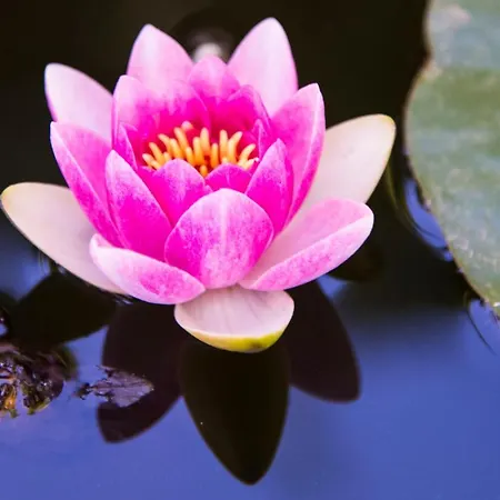 La Casetta بيت للعطل برانساليوني مارينا