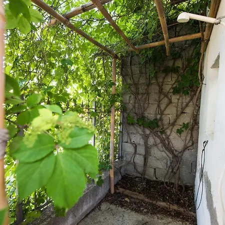 펜션 La Casetta 브란칼레오네 마리나