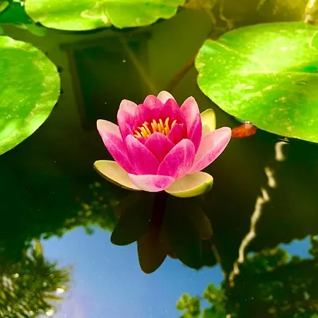 La Casetta Dom wakacyjny