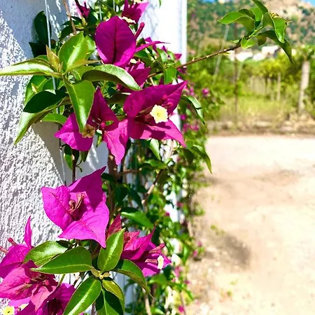 بيت للعطل La Casetta برانساليوني مارينا