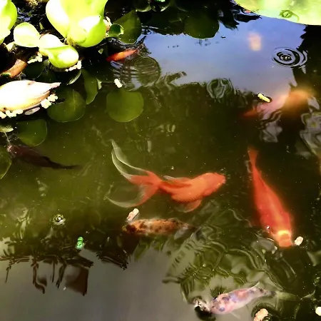 펜션 La Casetta 브란칼레오네 마리나