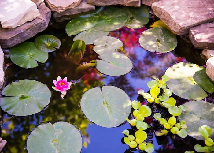 בית נופש La Casetta *