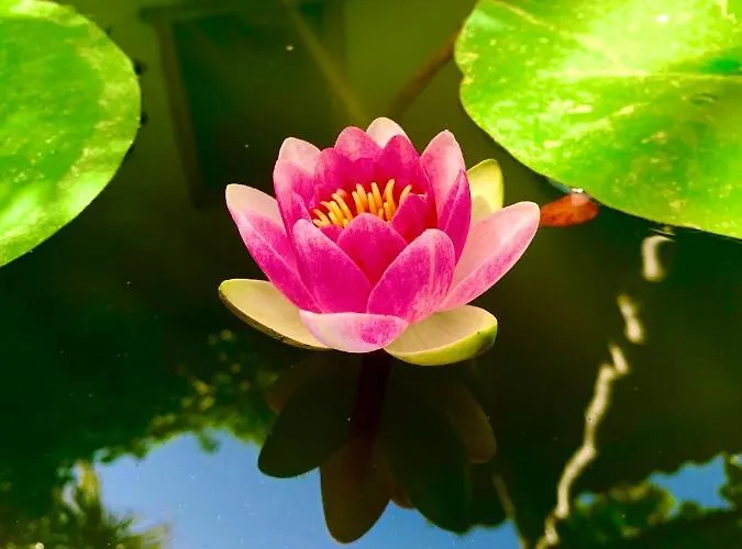 La Casetta בית נופש