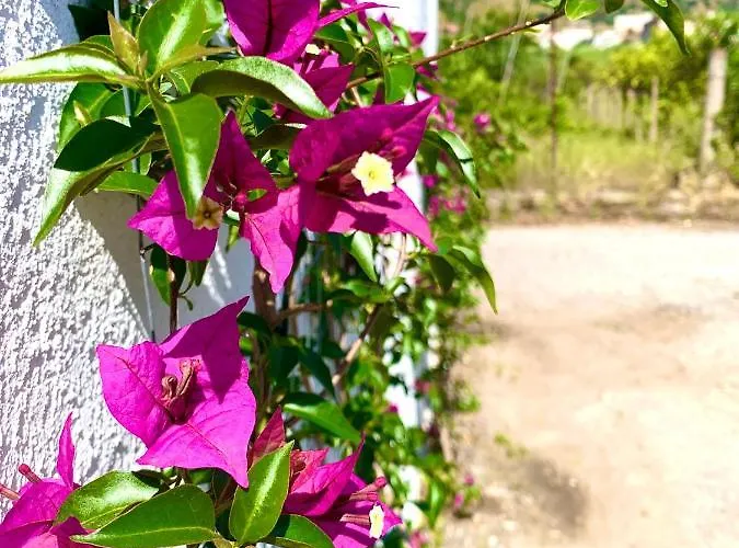 Casa de Férias La Casetta Brancaleone Marina